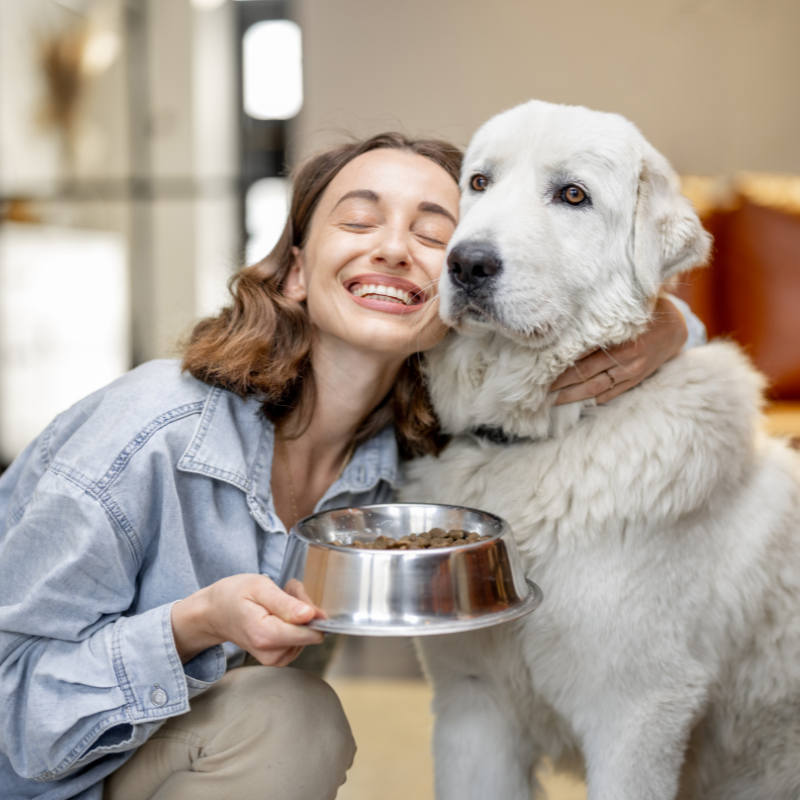 Pet re-homing services