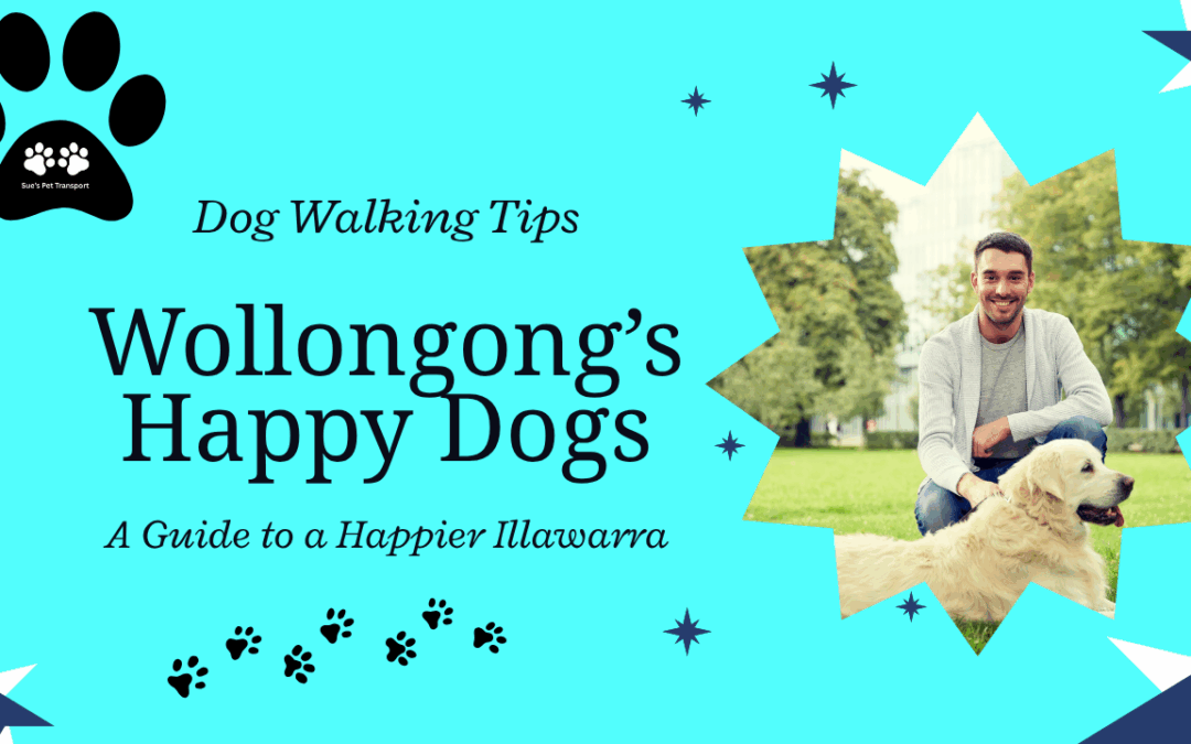 Dog Walking Wollongong | A Guide to a Happier Illawarra Dog