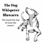 The Dog Whisperer Illawarra